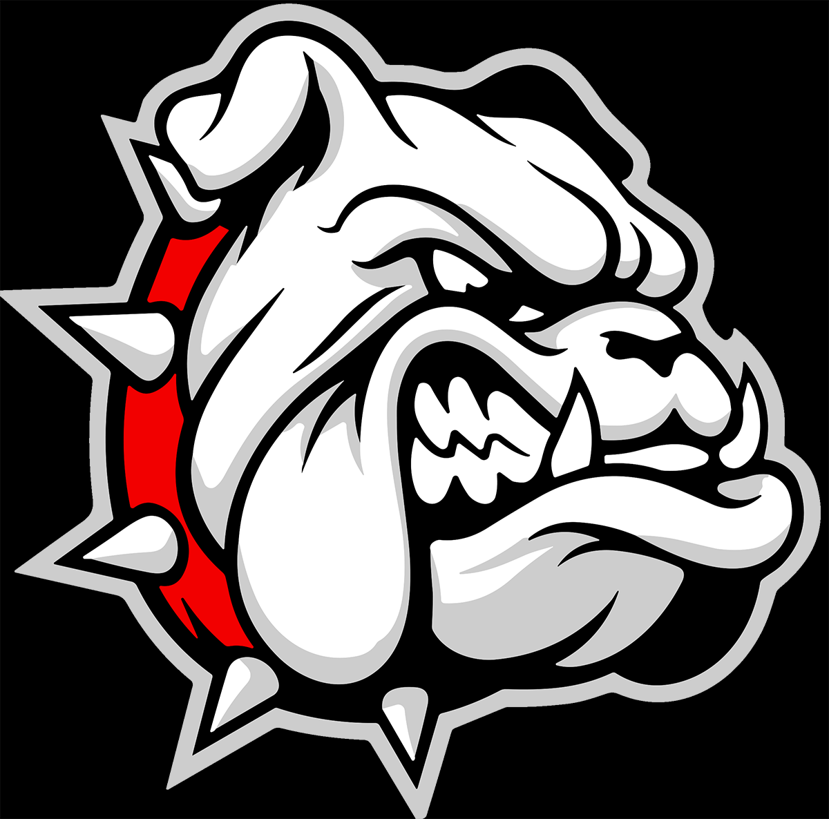 McPherson Basketball